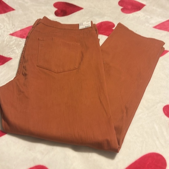 NWT Code Bleu
Plus Size Chelsea Straight Leg Stretch Denim Jeans in terracotta - Picture 5 of 11